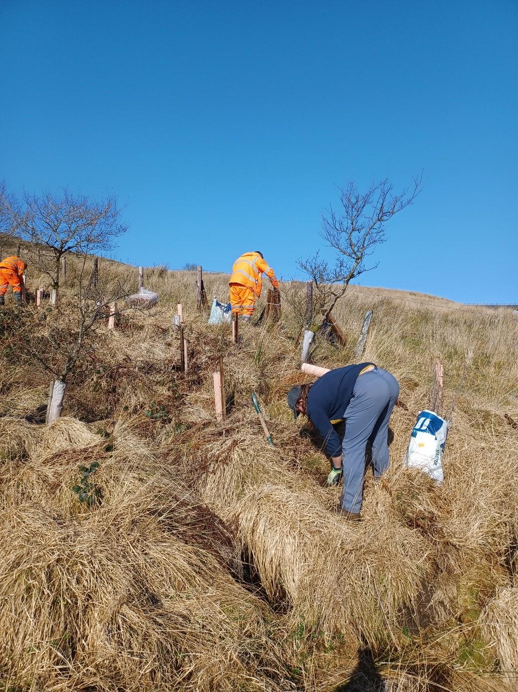 Eryri National Park volunteering 