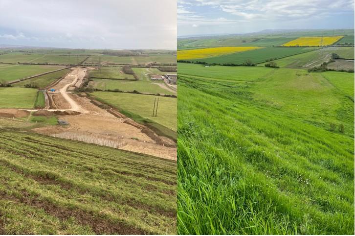 Dorsert before and after