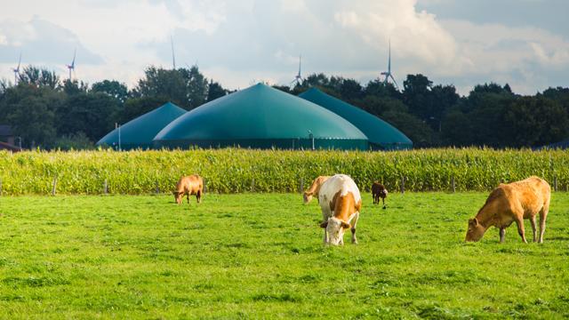 What is biogas? | National Grid Group