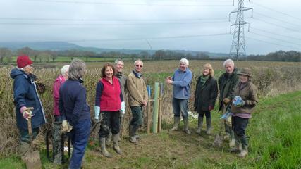 Group of people in a field with high-voltage lines and pylon in the background