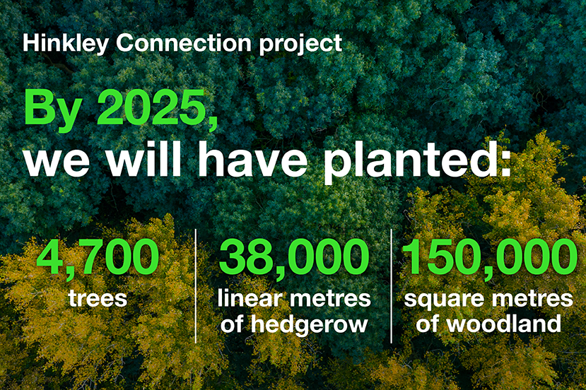 HCP - By 2025 we will have planted...