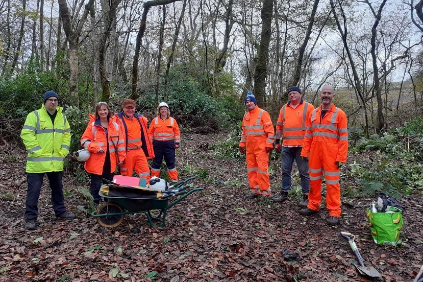 HCP - Volunteers clearing invasive Rhododendron in the Mendip Hills