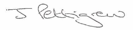 John Pettigrew's Signature 