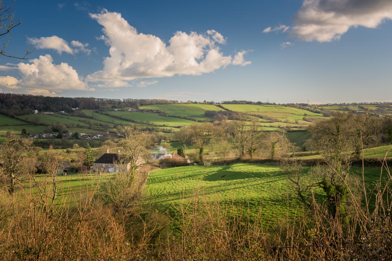 NG LEI Blackdown Hills AONB project View across the Blackdown Hills AONB