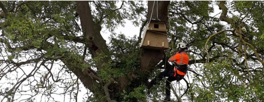 Portisbury Wharf Nature Reserve - Barn Owl Boxes