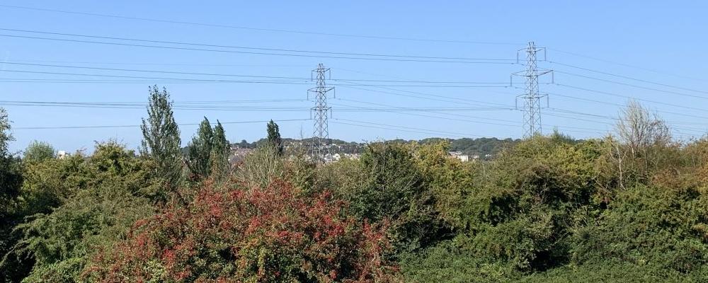 Portisbury Wharf Nature Reserve - removing WPD pylons