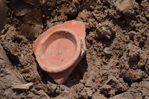 Pot found at National Grid Hinkley Connection archaeology dig
