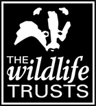 A logo that reads the wildlife trusts 