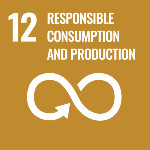UN goal 12 - responsible consumption