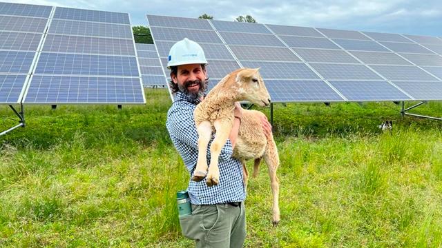 ArnaldoArnal_HoldingSheep_SolarFarmMassachusetts_640x360.jpg