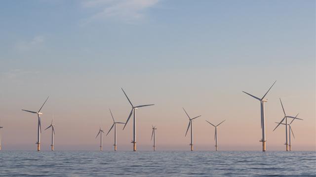 Offshore wind farm in calm seas at dawn