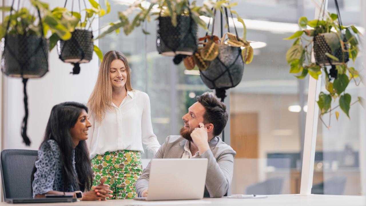 Group of people interacting in an office below hanging plants
