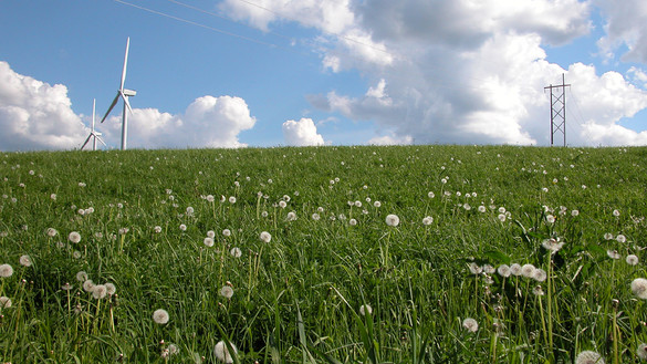 Green field with wind turbines and electricity transmission tower for National Grid US green bond story