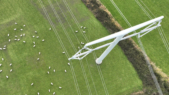 Aerial view of T-pylon in green field with sheep grazing