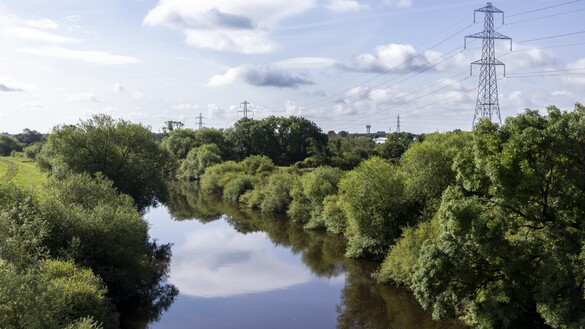 Yorkshire Green