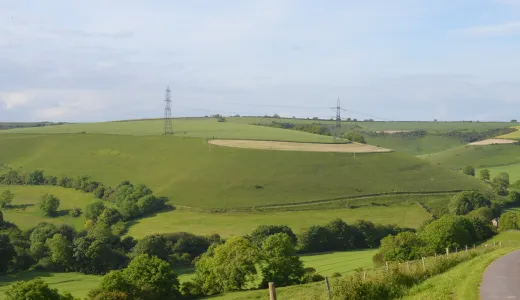 Dorset VIP
