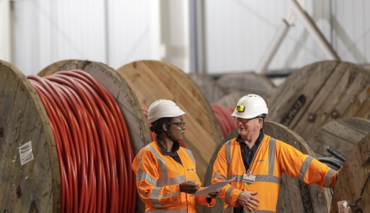 Electricity Distribution engineers