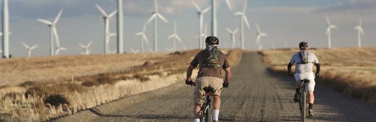 Two people cycling through a wind farm