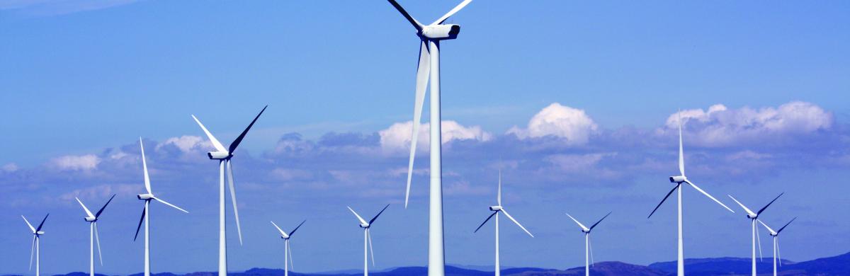Lots of wind turbines offshore