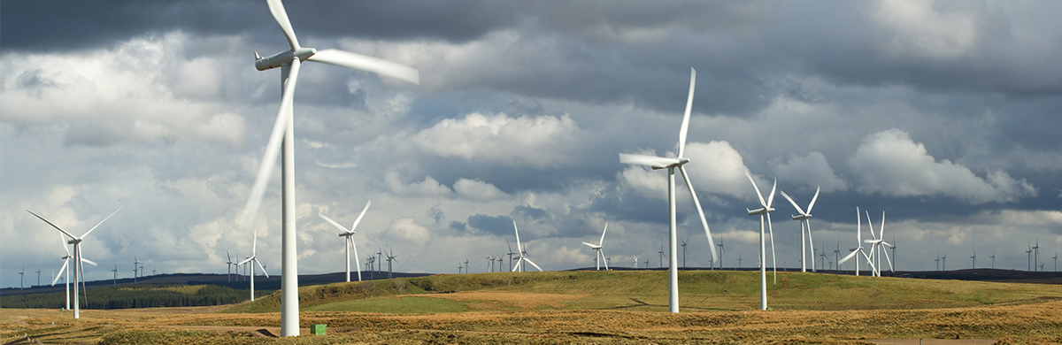 A picture of a wind farm
