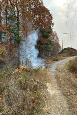 Small brush fire