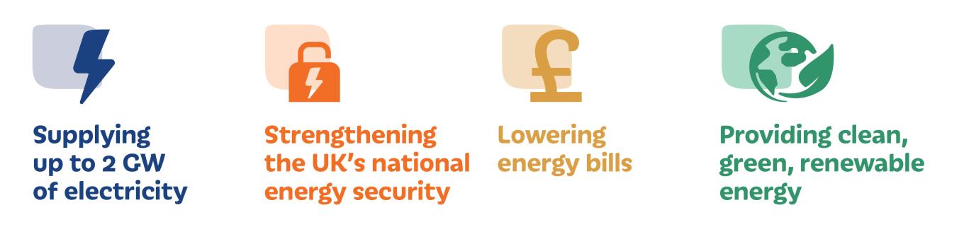 lionlink benefit image