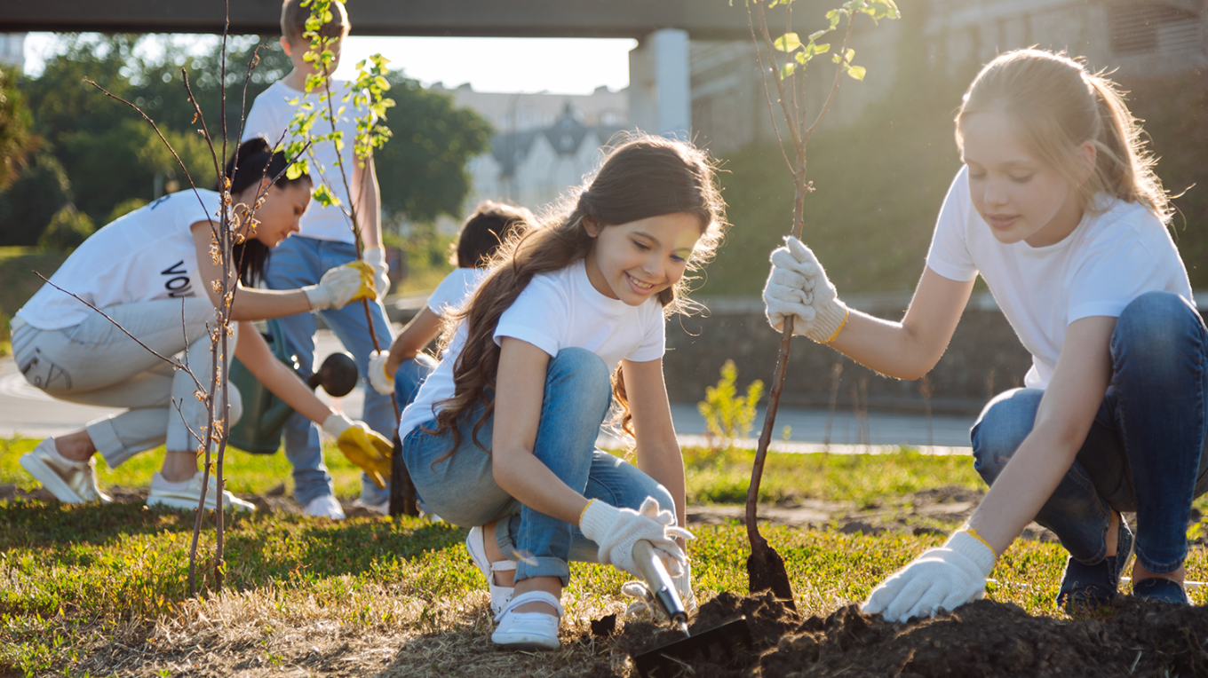 community garden