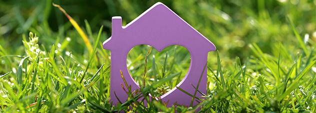 Grassland with home ornament