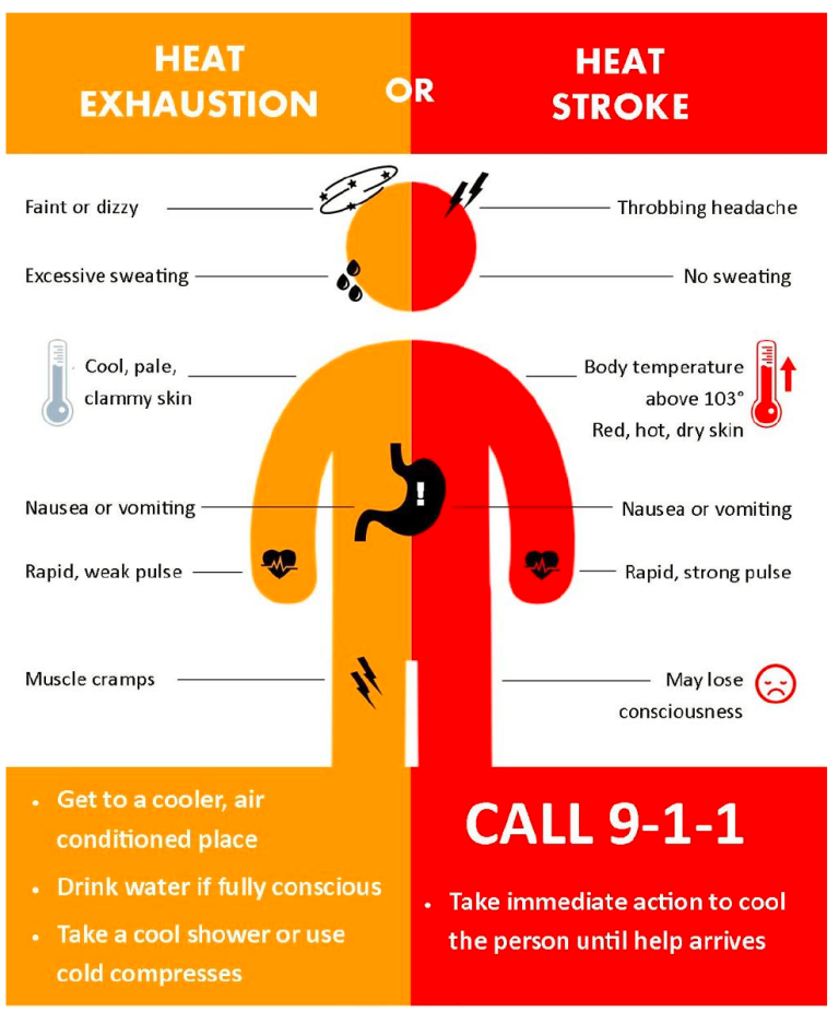 Heat exhaustion and heat stroke sympotoms infographic