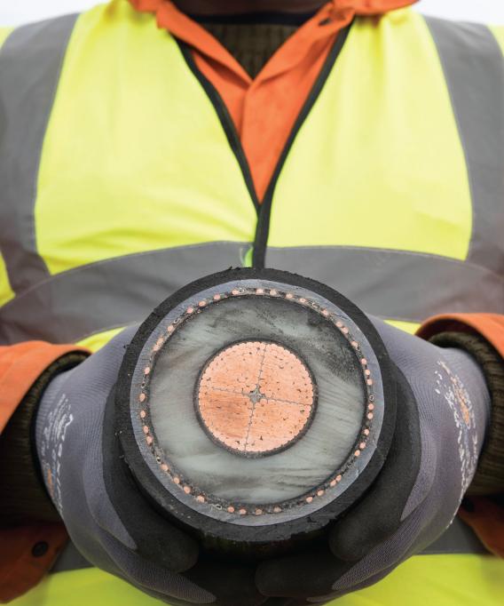 Cross Section of a cable