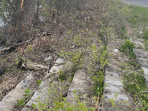 Jesuit Landing Stairs Before Cleanup
