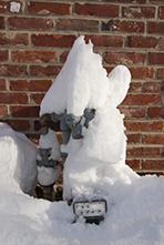 Snow covered electric meter