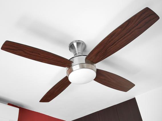 Ceiling fan