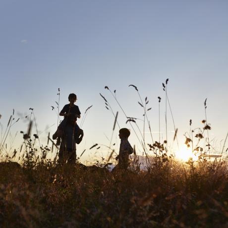 Three silhouettes of people in a flowering field at dusk