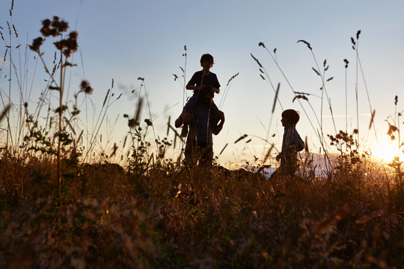 Family in meadow