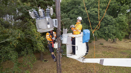 Electricity distribution engineers working on an overhead line