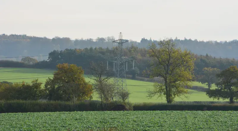 Green field with trees hedges and transmission tower 