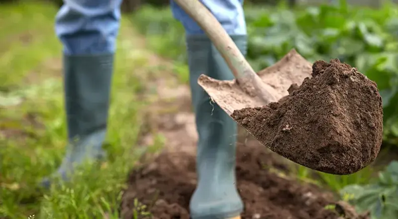 Digger digging dirt