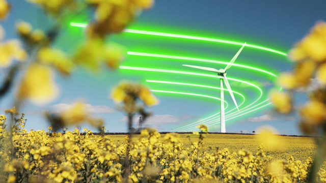 Wind turbine in field with yellow flowers